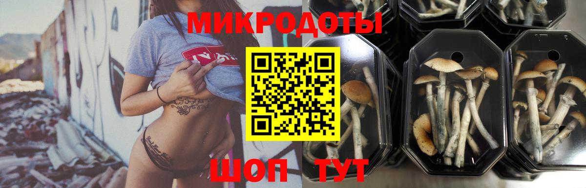 Галлюциногенные грибы мухоморы  Вход с VPN  где купить наркоту  Таганрог 